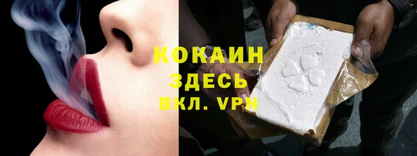 сатива Володарск