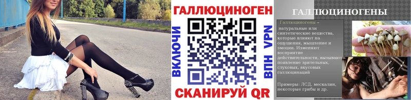 Псилоцибиновые грибы Psilocybe  Верхняя Салда 